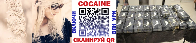 Купить  Губкинский  Cocaine Эквадор 
