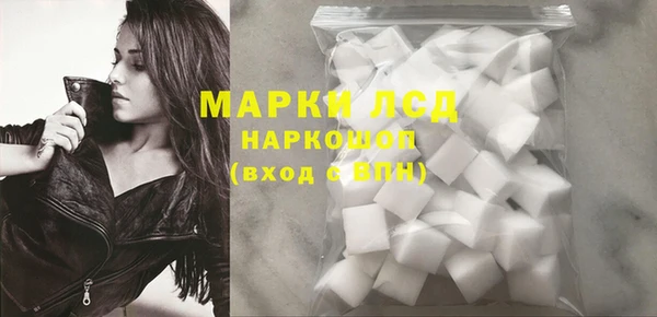 прущие грибы Киренск