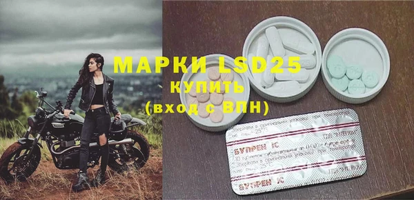 прущие грибы Киренск