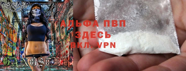 прущие грибы Киренск
