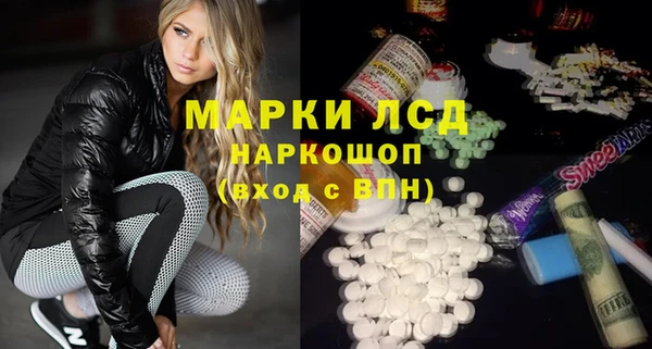 прущие грибы Киренск