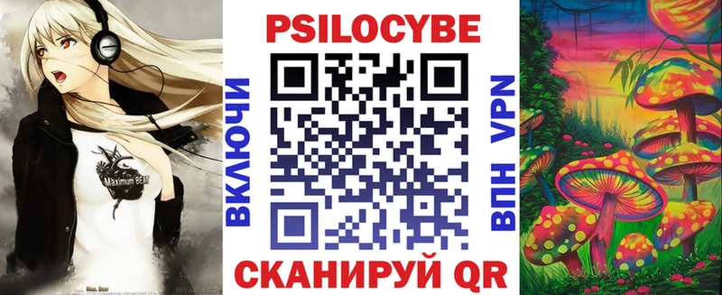 Купить закладки  Губкинский  Галлюциногенные грибы Cubensis 