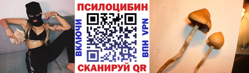 Псилоцибиновые грибы Magic Shrooms Губкинский